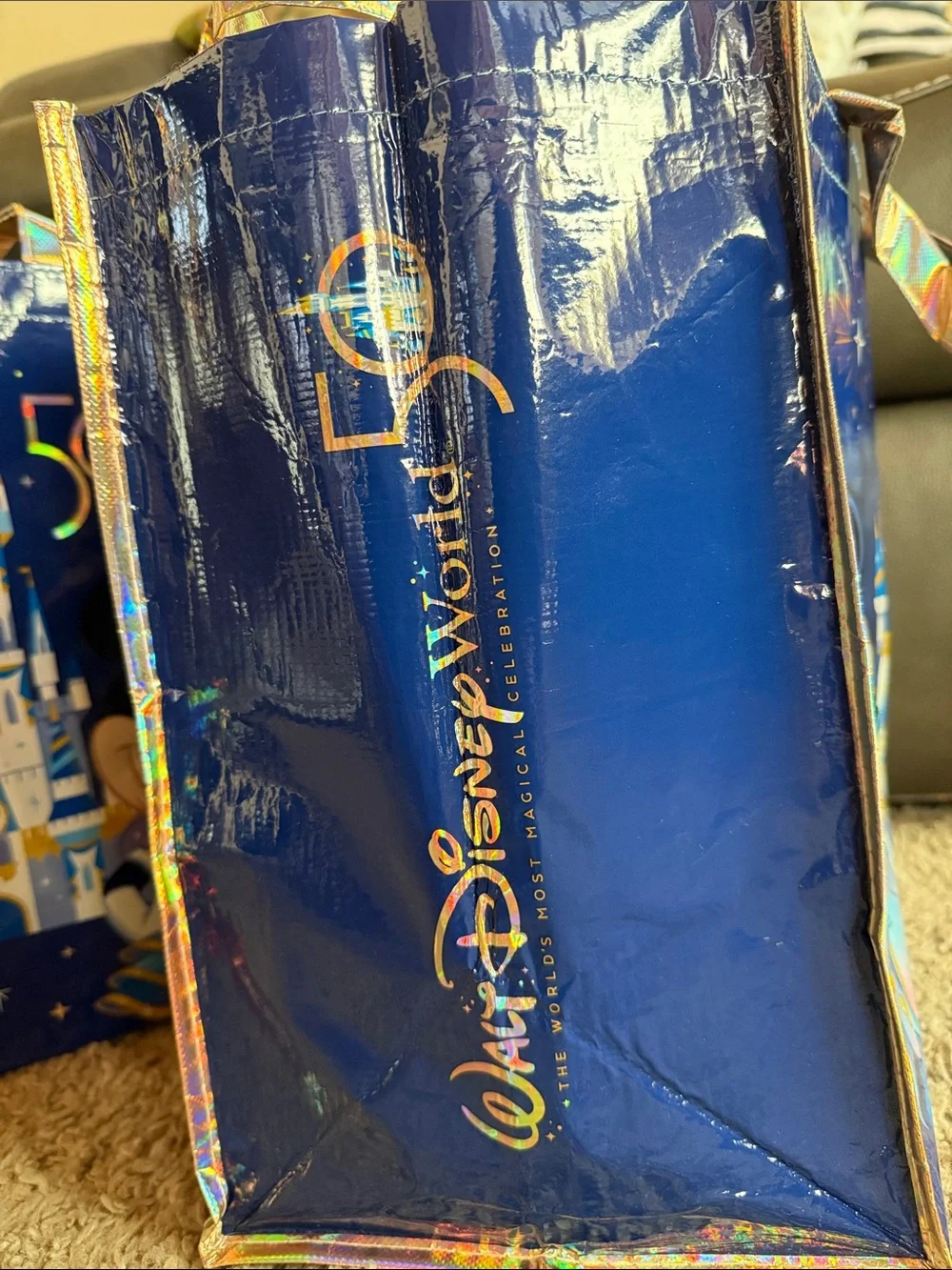 Disney set wdw